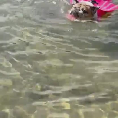 Chaleco AquaPet